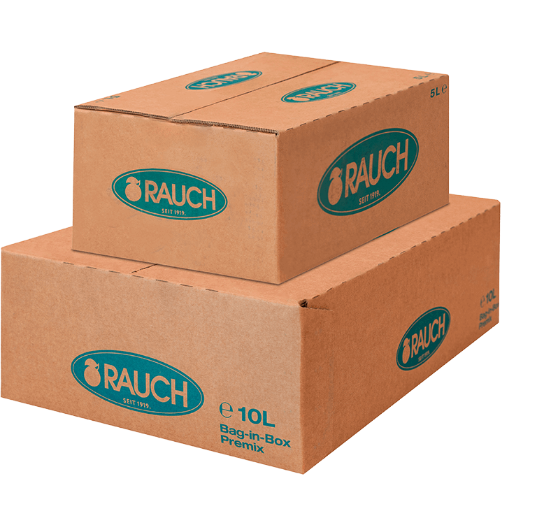 Zwei übereinander gestapelte braune Pappschachteln mit blaugrünem "Rauch"-Logo, beschriftet als 5L und 10L Bag-in-Box Premix.