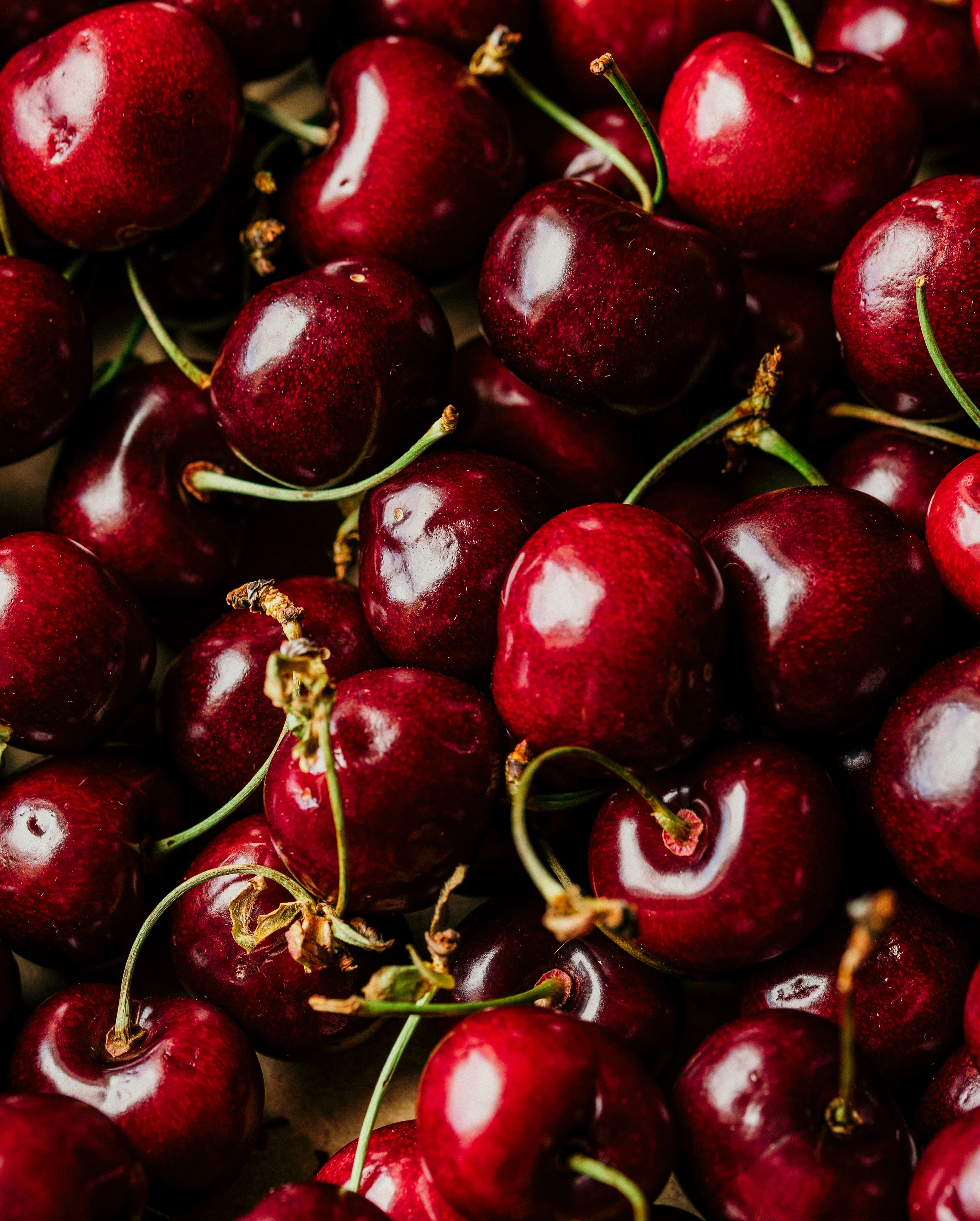 Historisches Foto der RAUCH Familie