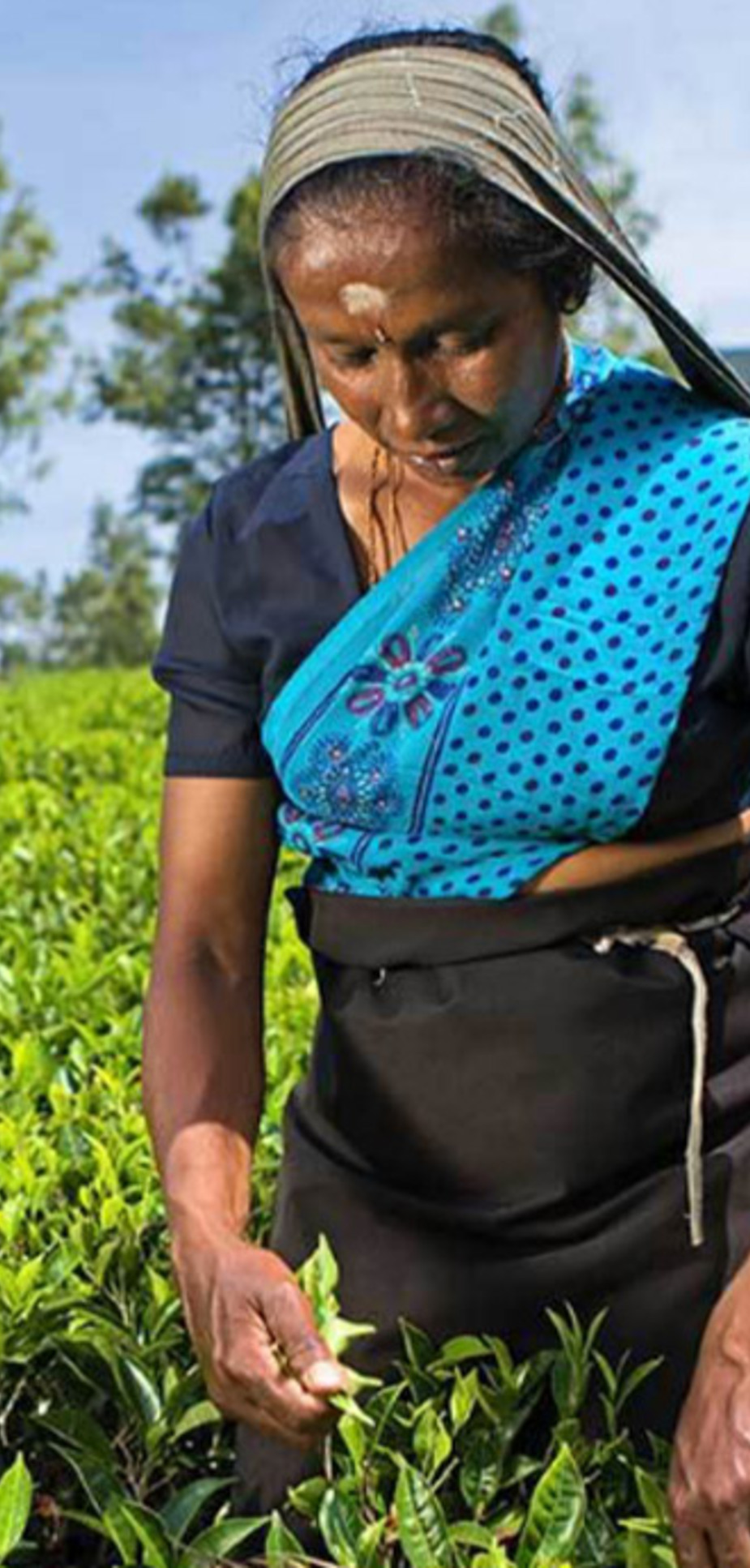 Happy Day Fairtrade