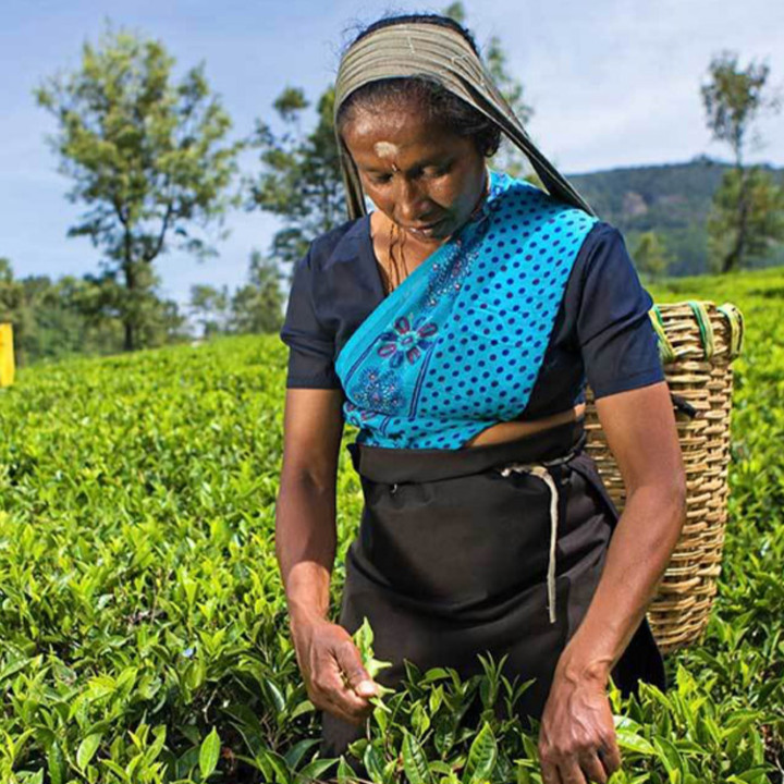 Happy Day Fairtrade