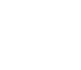 vegan